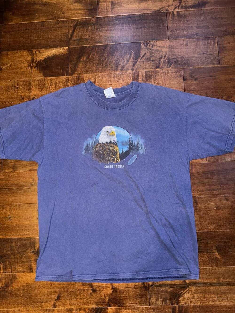 Vintage Gildan Ultra Cotton South Dakota Bald Eagle Nature Graphic T-Shirt